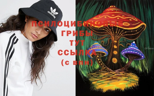 соль ск Аркадак
