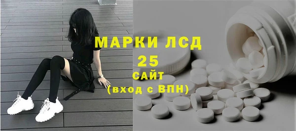ПСИЛОЦИБИНОВЫЕ ГРИБЫ Арсеньев