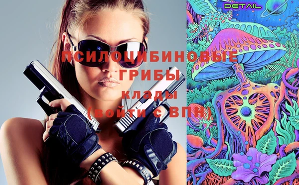 соль ск Аркадак