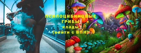 соль ск Аркадак