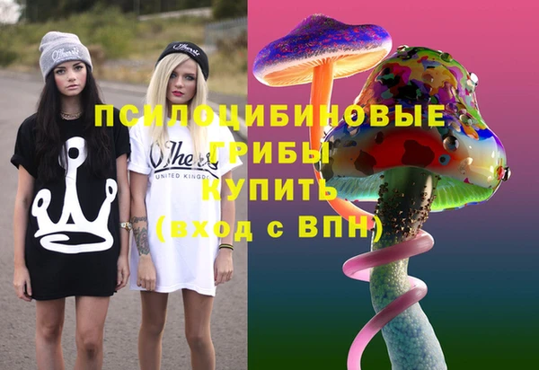 ПСИЛОЦИБИНОВЫЕ ГРИБЫ Арсеньев