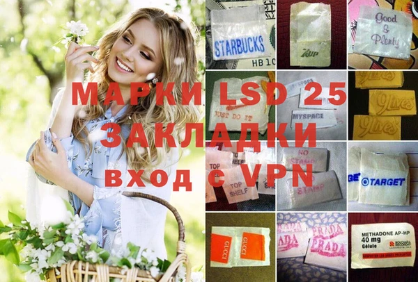 ПСИЛОЦИБИНОВЫЕ ГРИБЫ Арсеньев