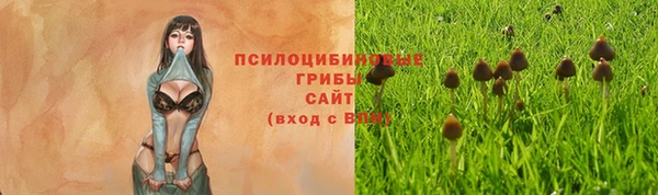 ПСИЛОЦИБИНОВЫЕ ГРИБЫ Арсеньев