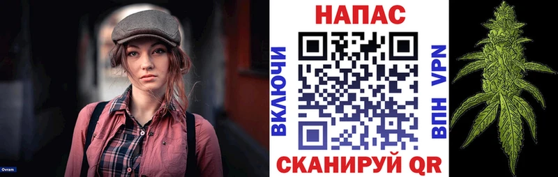 Конопля индика  Солигалич 