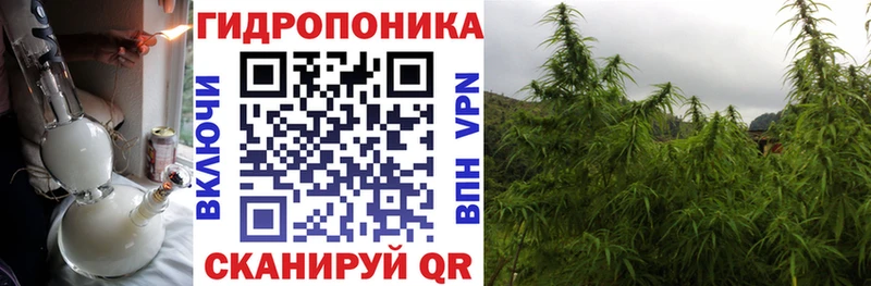 Бошки марихуана SATIVA & INDICA Солигалич